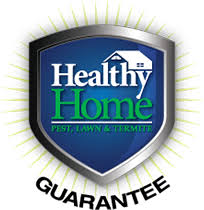 Miami pest control company // trinity pest solutions. Miami Pest Control Company Trinity Pest Solutions