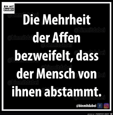 Diese stars sind mit dabei! Du Musst Dich Gesund Ernahren