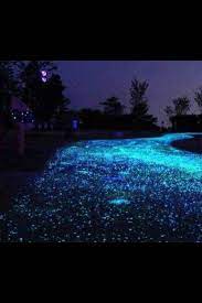 Cement With Glow The Dark Stuff Stone Driveway Glow Stones Outdoor