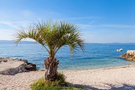 Choose from 161 beaches and 285 destinations. Beaches In Split Top 5 Beaches And How To Reach Them