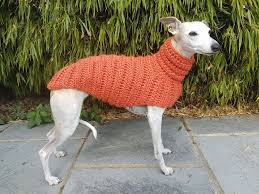 Maybe you would like to learn more about one of these? Fabulous Whippet Sweaters On Etsy To Keep Your Little Friend Cozy