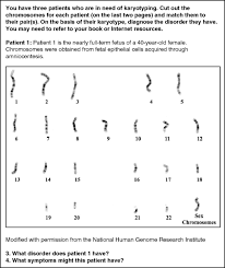 Karyotyping Activity Worksheet Answers Printable Worksheets And Activities For Teachers Parents Tutors And Homeschool Families