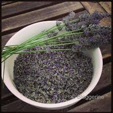 Don T Panic Blog Archive Rezepte Fur Lavendel Lavendel Rezepte Lavendel Krauter Pflanzen