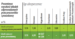 Nie może być niższa od kwoty 381,81 zł(tj. Umowa O Prace I Wysokosc Skladek W 2019 R Podstawowe Informacje Infor Pl