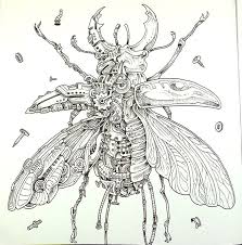 Book Review Imagimorphia With Coloured Pages La Artistino Peta Hewitt Animorphia Coloring Book Insect Coloring Pages Blank Coloring Pages