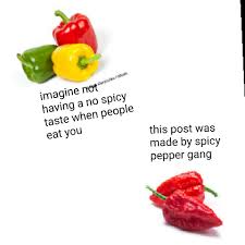 Check spelling or type a new query. Spicy Peppers Memes