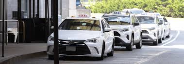 Taxis and Limos | Massport