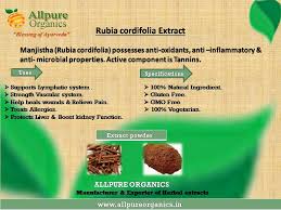 Image result for Rubia cordifolia