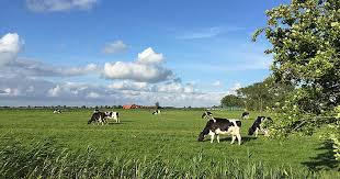 Ostfriesland ist der nordwesten in niedersachen mit seinen sieben ostfriesischen inseln, der nordseeküste am unesco weltnaturerbe wattenmeer sowie seinem grünen binnenland. Nordsee Ostfriesland Urlaub Direkt Online Buchen