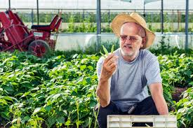 We did not find results for: Top 17 Problems All Green Bean Growers Must Overcome Off The Grid News