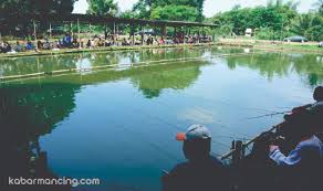 Telaga Nila Ikan Ga Makan Sah Kabar Mancing