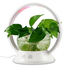 Torchstar Led Indoor Garden Kit Plant Grow Light Reviews Wayfair