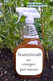 Epingle Sur Astuces De Jardinage Bio