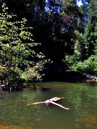 Pin By Rebecca Mccoy On S A N T A C R U Z California Camping California Travel Places To Visit