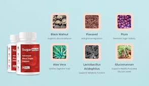 SugarMute Supplement Facts