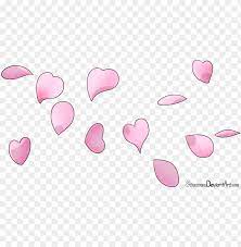 Check spelling or type a new query. Cherry Blossom Petals By Stacona Draw Cherry Blossom Petals Png Image With Transparent Background Toppng
