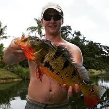 pix Freshwater Florida Lake Fish