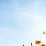 The Seasons of Vivaldi + Piazzolla