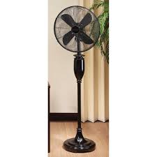 Black Decorative Floor Fan Floor Fan