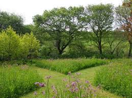 Image Result For Grass Pathways Through Planting Wildblumenwiese Garten Pflanzen Formaler Garten