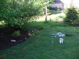 Water coming up drain in basement? Five Potential Causes Of Standing Water In Your Yard