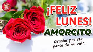 We did not find results for: Pin En Universo De Amor
