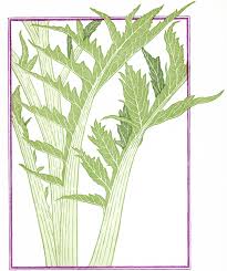 Maybe you would like to learn more about one of these? Chez Panisse