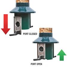 Choose from contactless same day delivery, drive up and more. Squirrel Proof Wild Bird Feeder Roamwild Pestoff Mixed Seed Sunflower Heart Feeder Amazon Co Uk Garden Outdoors