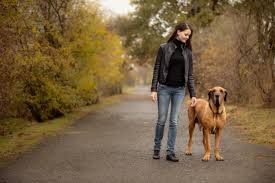Mesmo com perfumes mais amenos e elementos especiais para filhotes, é imprescindível a leitura do rótulo antes da utilização. O Temperamento Do Fila Brasileiro Entenda Aqui Portal Do Dog