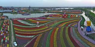 It features famous dutch tulips and was designed with elements of the countryside, a river network, wooden buildings, windmills, and a sea of flowers. Jiangsu Yancheng The Aerial Photography Of 30 Million Tulips In The Netherlands Is Intoxicating Editorial Image Image Of City Tulips 114523765