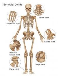 How much does a meniscus tear surgery cost? Knock Knee Surgery Cost