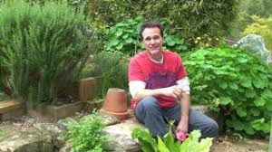 A little effort pays off with a lasting aroma (1963). How To Plant A Rose Garden Youtube