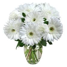 Mehr als 120 campingplätze in frankreich. Choosing The Best Memorial Day Flowers Avas Flowers