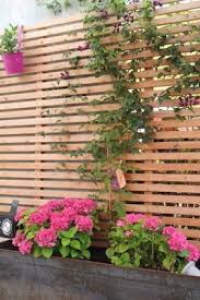 Mit Clematis Berankter Sichtschutz Und Pinken Hortensien Clematis Pflanzen Sichtschutz Garten Holz Garten Zaun Ideen