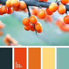 Resultado De Imagem Para Paleta De Colores Naranja Paletas De Color Naranja Paleta De Color Verde Paleta De Colores