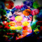Liam Carnell: The Victoria Club event image