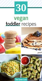 Vegetarian meals for kids can be hard given they need specific nutrients that meatless meals may lack. 21 Healthy Vegan Toddler Recipes And Meals Your Baby Ll Love The Green Loot