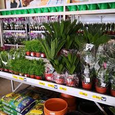 Leroy merlin is involved in improving housing and living environment of people in the world. Leroy Merlin Craiova Dolj