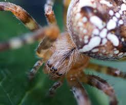 Image result for site:byggahus.se Macro