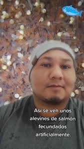 #dúo con @fletchflower 2da parte de como se ven los salmones bebé@biosant