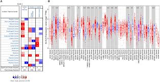Most do not, but doctors recommend early treatment to prevent the development of squamous cell skin cancer. Frontiers Klhl5 Is A Prognostic Related Biomarker And Correlated With Immune Infiltrates In Gastric Cancer Molecular Biosciences