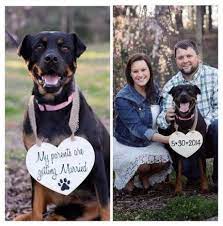 Citizen or green card holder and where you currently live (not including possible delays). 34 Ideas For Wedding Pictures With Dogs Getting Married Engagement Photo Sign Engagement Photos Country Photos With Dog