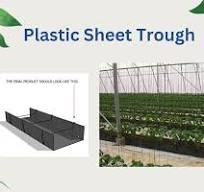 Hydroponic Trough System