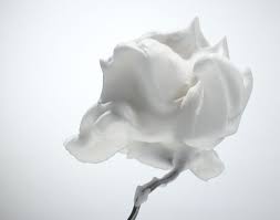 Adam Savitch Photographie Fleurs
