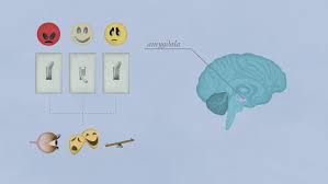 You deserve to be happy. Mental Health Services How To Get Treatment If You Can T Afford It