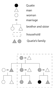 Diagram Of Matrilineal Kinship Ncpedia