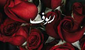 صور اسم مهدي صور رومانسية بالورد imagez