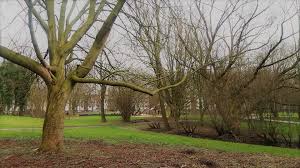 Als diese im jahr 2011 insolvenz. Hunderte Ohne Maske Am Kurpark Spielplatz Wieso Bleibt Das Folgenlos Rundblick Unna