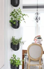 Even if you live in an apartment, condo, or living situation that doesn't come with a yard or garden space you can still cultivate your own herbs in the kitchen, a sunny window sill, or patio! How To Create A Modern Kitchen Herb Garden