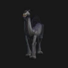 Obtaining all the wow trading card game items the littlest mountain: Pygmy Camel Current Price On All Realms Wow Pets